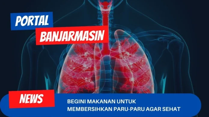 Begini Makanan Untuk Membersihkan Paru-paru Agar Sehat Begini Makanan Untuk Membersihkan Paru-paru Agar Sehat
